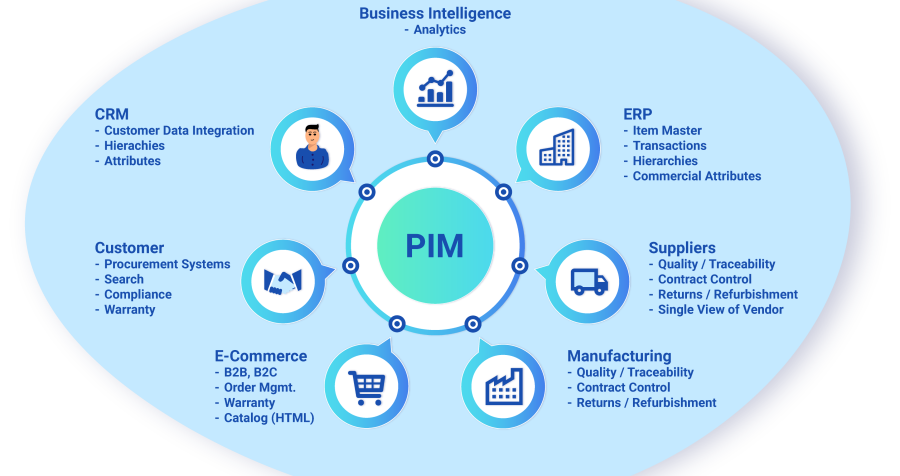 Structure of a PIM system, showcasing its importance.