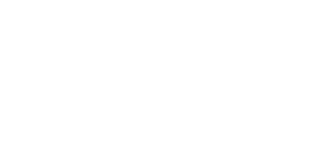 Securitas Securitas